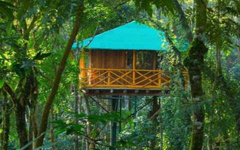 Dream Catcher Plantation